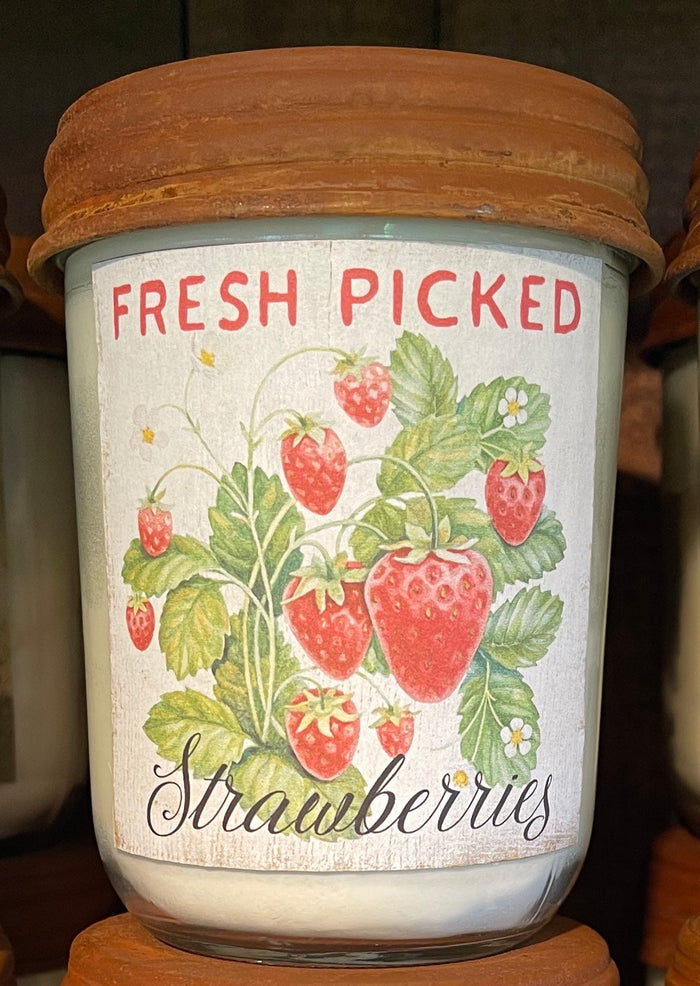 Fresh Picked Strawberries