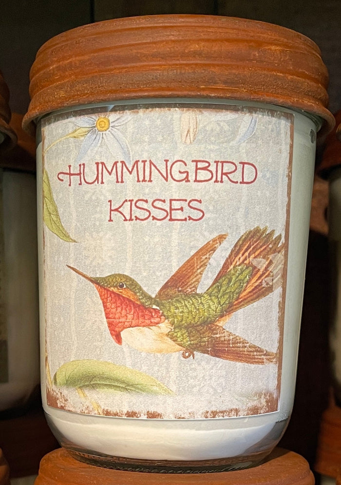 Hummingbird Kisses