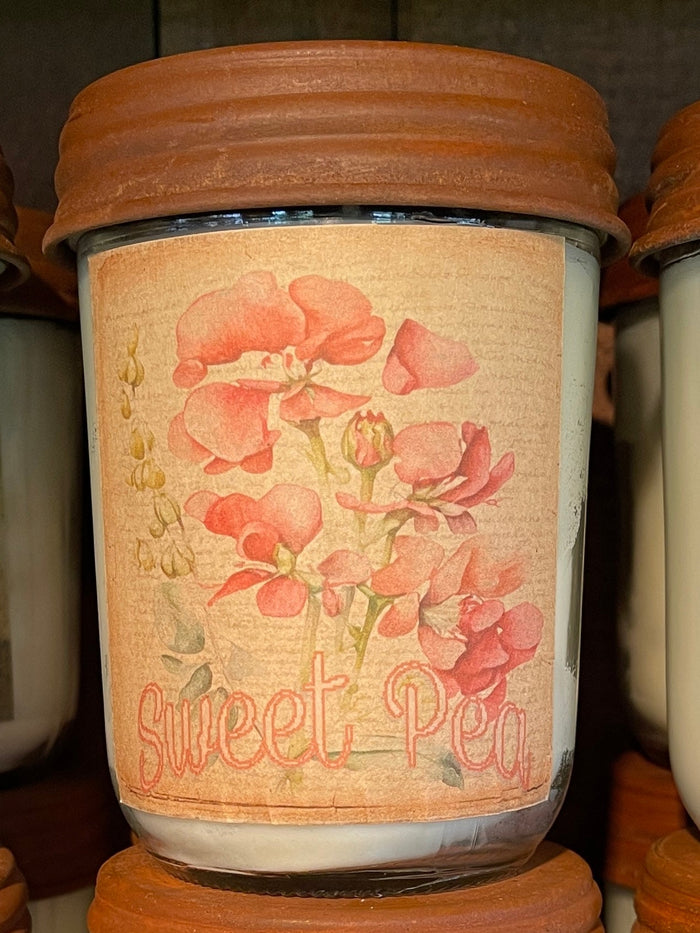 Sweet Pea