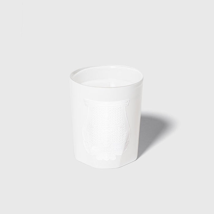 Positano Classic Candle - Candles by Carlyle Avenue