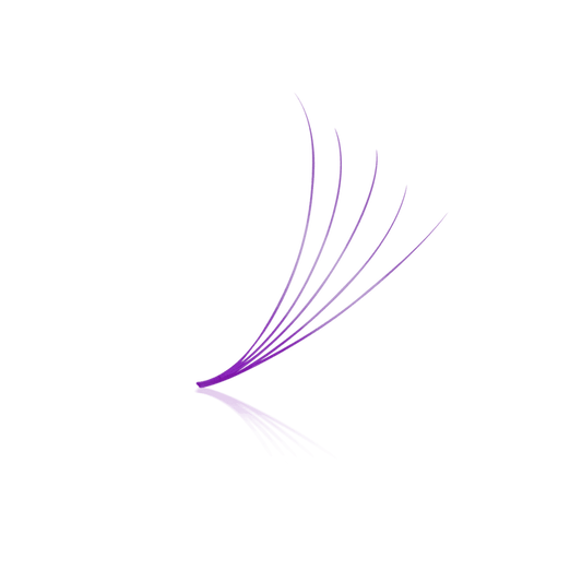 Purple 5D ProMade Loose Fans - 0.07 - 475-530 Fans - Paris Lash Academy