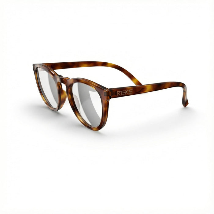 Eyeglasses