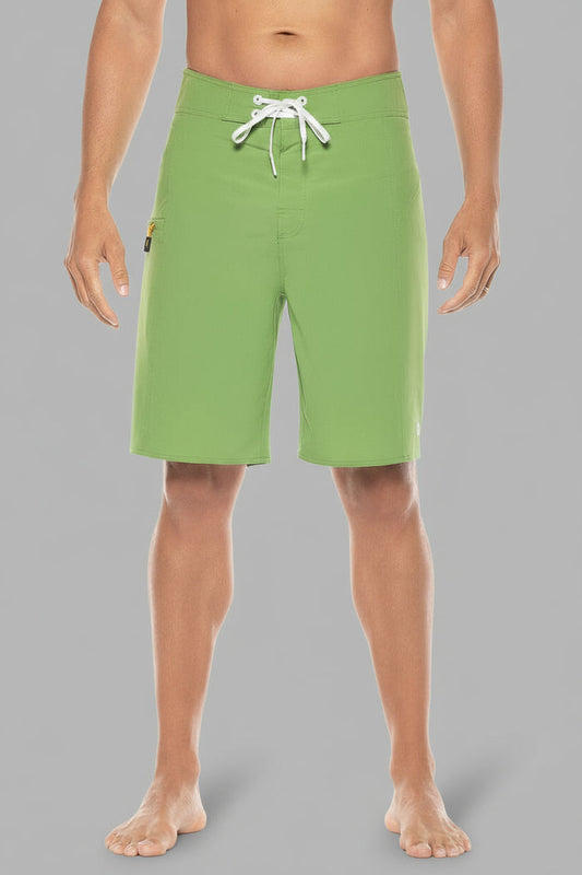 Color_Soft Fern