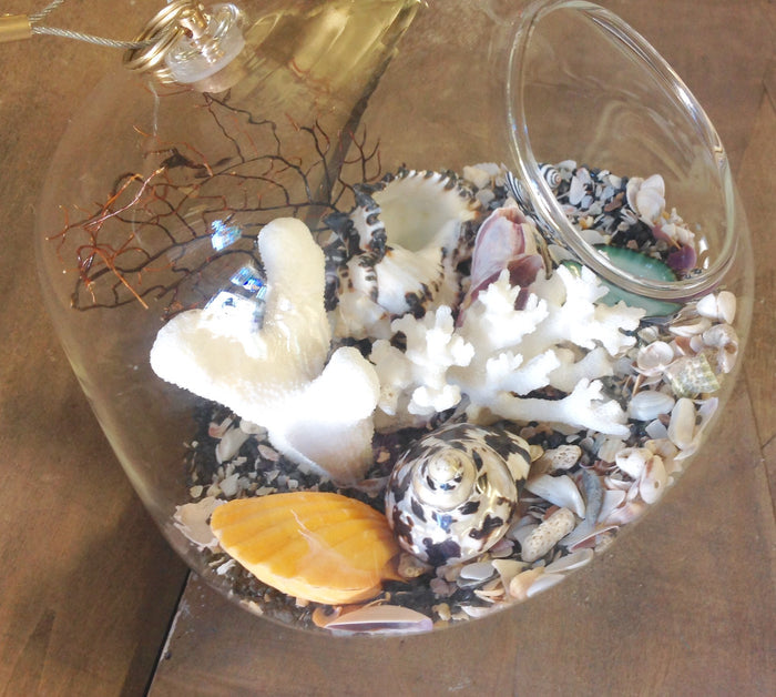 Seashell Hanging Terrarium