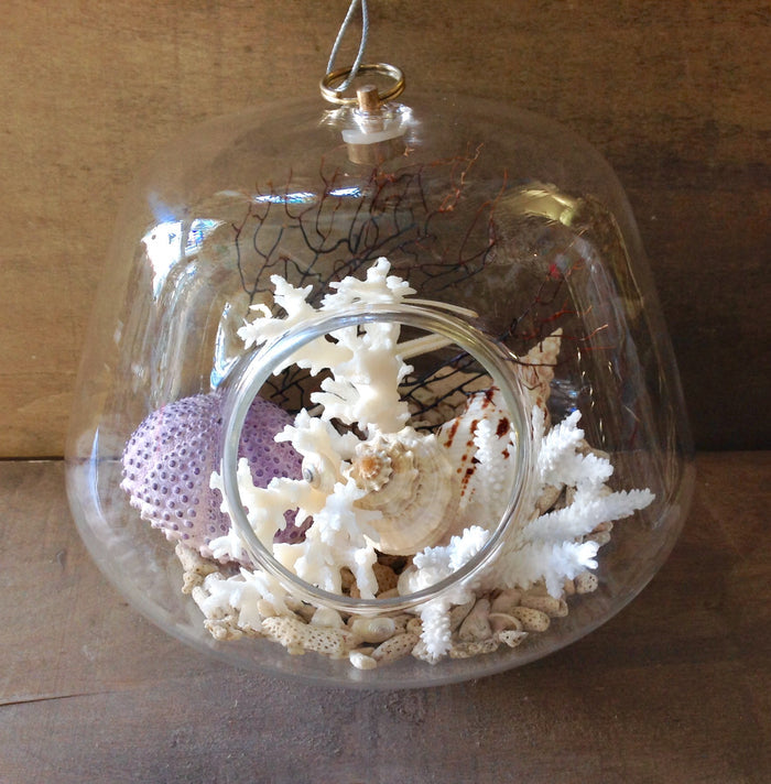 Short / Urchin/Coral