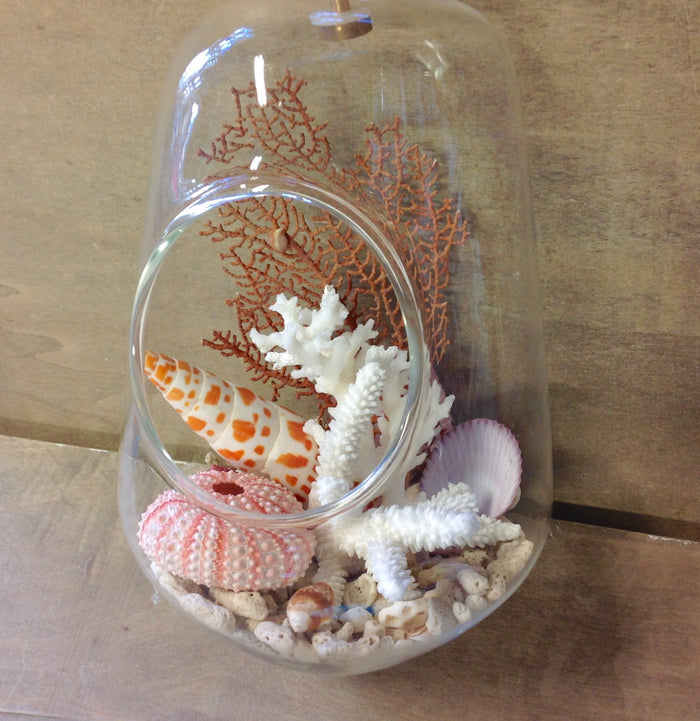 Small / Mitra Shell