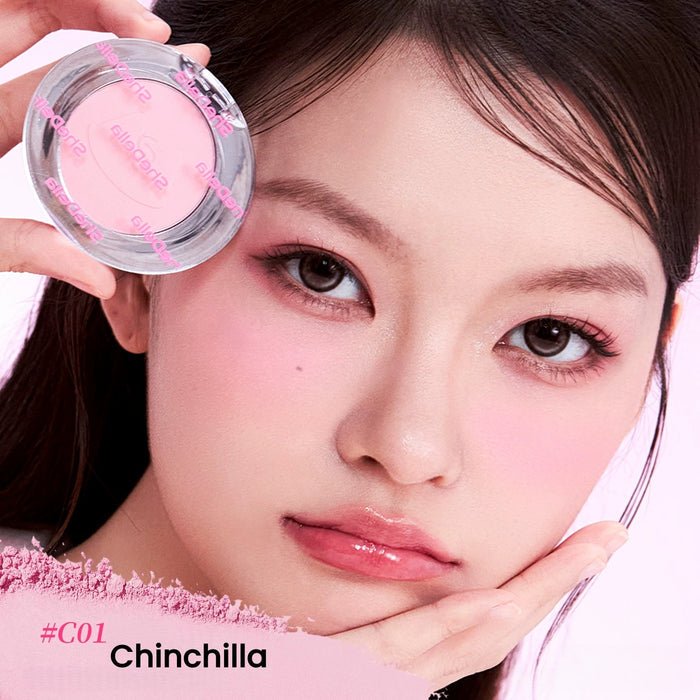#C01 Chinchilla