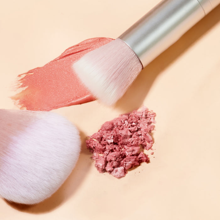 Skin2Skin Powder Blush Brush Pinceau