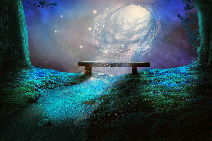 Through The Portal