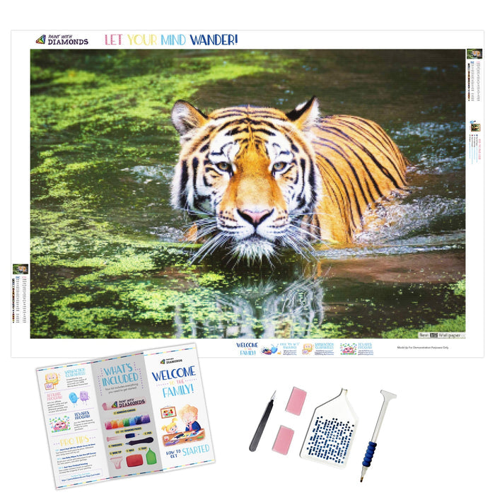 Tiger Swim
