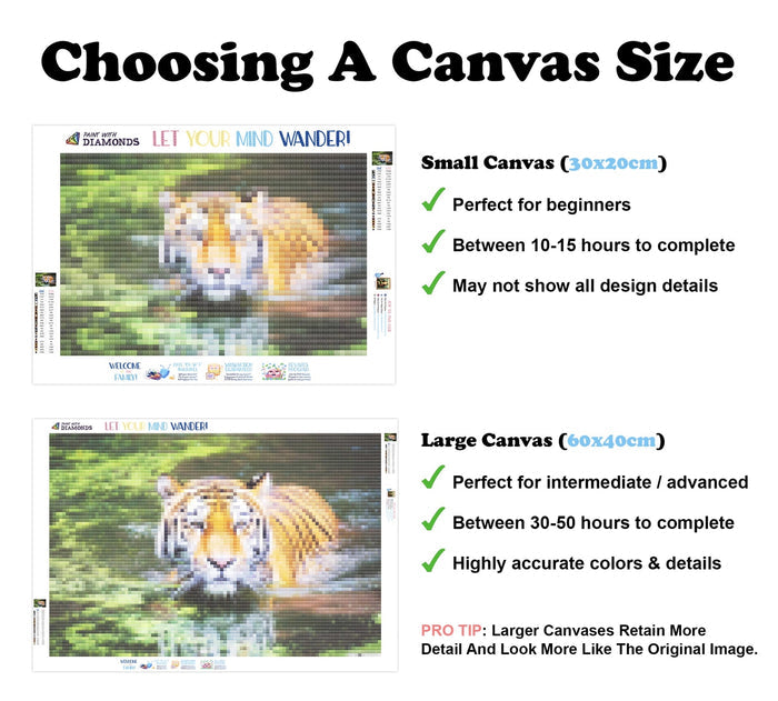 Tiger Swim