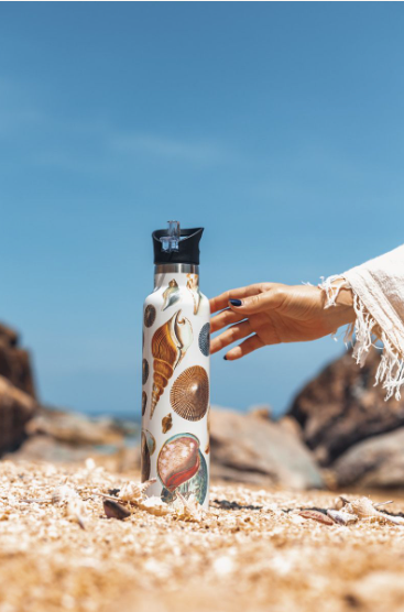Seashells