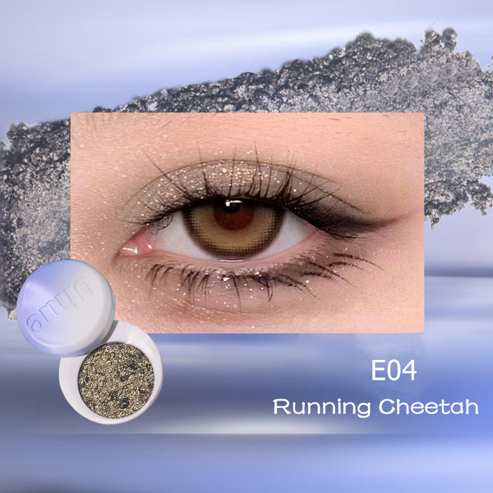 E04 Running Cheetah