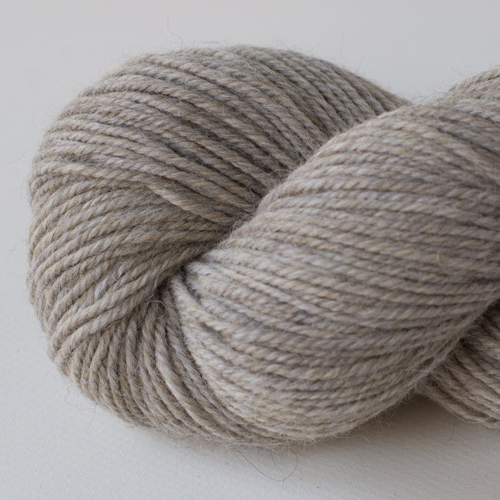 Barley 62189