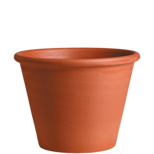 Vasum cm. 25 ( 10")