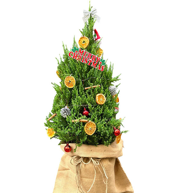 Vietnamese Christmas Tree 01 - Vietnamese Flowers