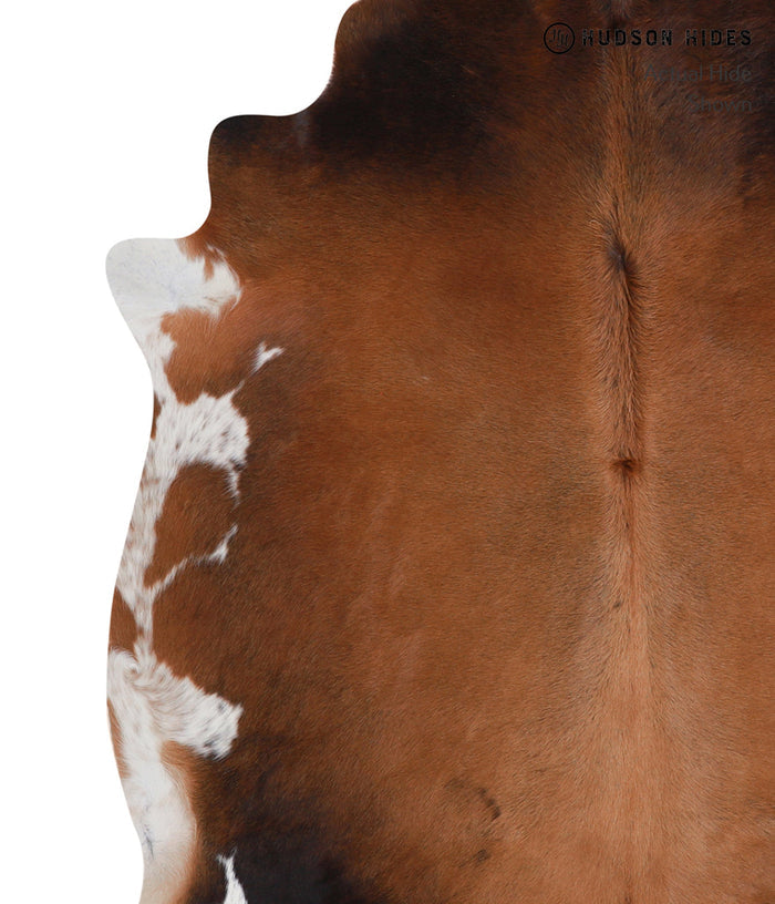 Brown with Red Cowhide Rug #A5010