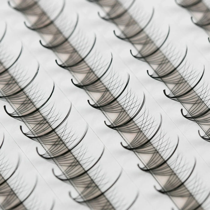 Wispy 11D ProMade Fans - 0.03 - XL Tray - Paris Lash Academy