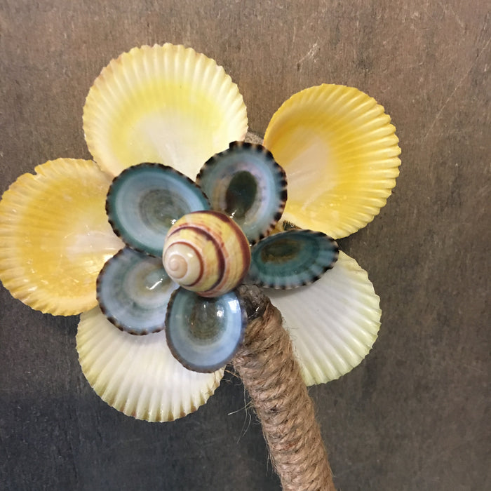 Yellow Sea Flower